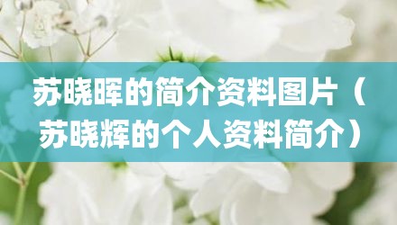 苏晓晖的简介资料图片(苏晓辉的个人资料简介)