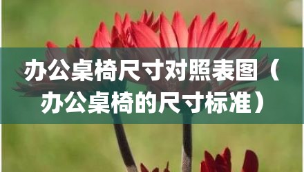 办公桌椅尺寸对照表图（办公桌椅的尺寸标准）
