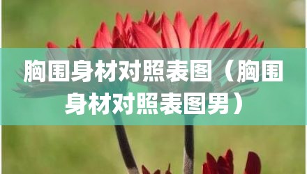 胸围身材对照表图（胸围身材对照表图男）