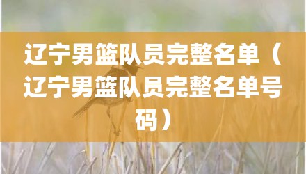 辽宁男篮队员完整名单（辽宁男篮队员完整名单号码）