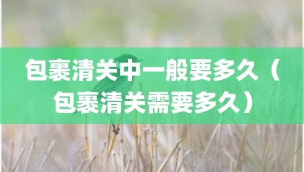 包裹清关中一般要多久（包裹清关需要多久）