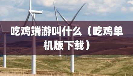 吃鸡端游叫什么（吃鸡单机版下载）