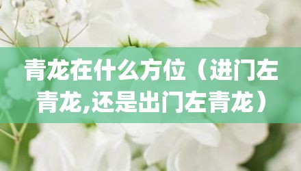 青龙在什么方位(进门左青龙,还是出门左青龙)
