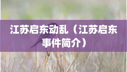 江苏启东动乱（江苏启东事件简介）