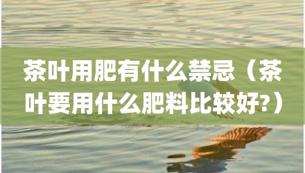 茶叶用肥有什么禁忌（茶叶要用什么肥料比较好?）