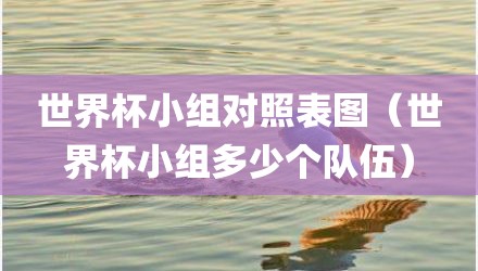 世界杯小组对照表图（世界杯小组多少个队伍）
