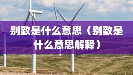 别致是什么意思（别致是什么意思解释）