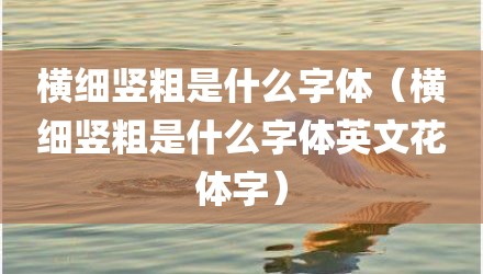 横细竖粗是什么字体（横细竖粗是什么字体英文花体字）