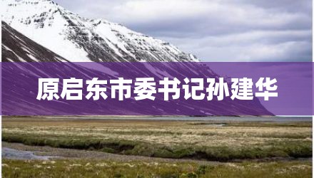 原启东市委书记孙建华