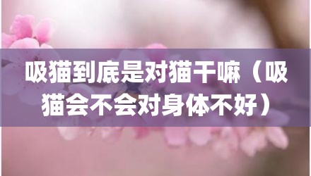 吸猫到底是对猫干嘛（吸猫会不会对身体不好）