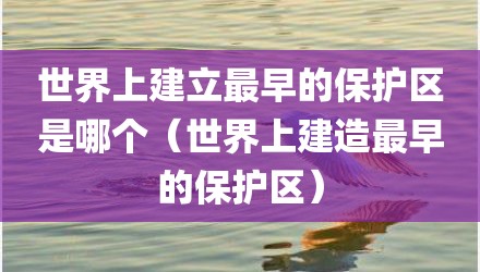 世界上建立最早的保护区是哪个（世界上建造最早的保护区）
