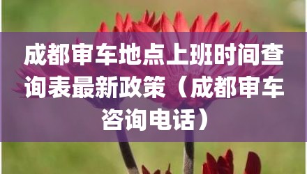 成都审车地点上班时间查询表最新政策(成都审车咨询电话)