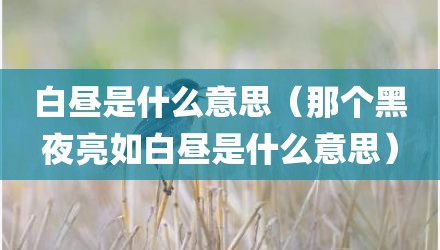 白昼是什么意思（那个黑夜亮如白昼是什么意思）