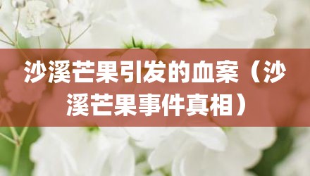沙溪芒果引发的血案（沙溪芒果事件真相）