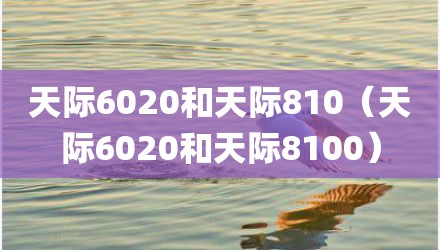 天际6020和天际810（天际6020和天际8100）