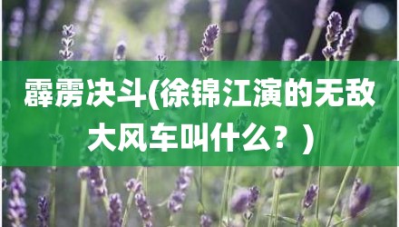霹雳决斗(徐锦江演的无敌大风车叫什么？)
