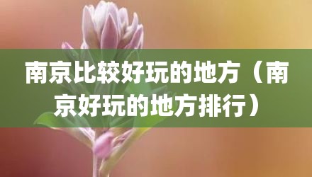 南京比较好玩的地方（南京好玩的地方排行）