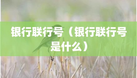 银行联行号（银行联行号是什么）