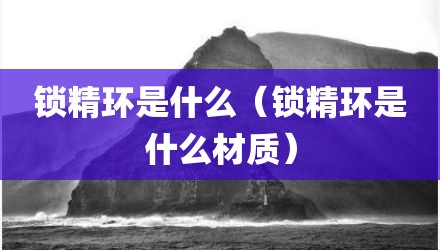 锁精环是什么（锁精环是什么材质）