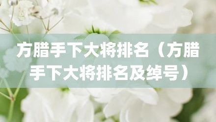 方腊手下大将排名（方腊手下大将排名及绰号）