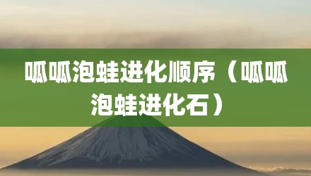 呱呱泡蛙进化顺序（呱呱泡蛙进化石）
