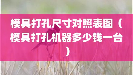 模具打孔尺寸对照表图（模具打孔机器多少钱一台）