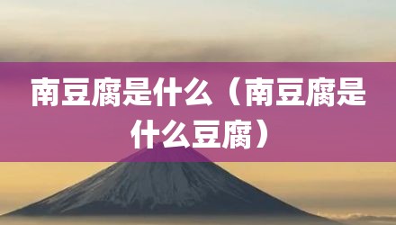 南豆腐是什么（南豆腐是什么豆腐）