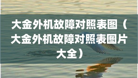 大金外机故障对照表图（大金外机故障对照表图片大全）