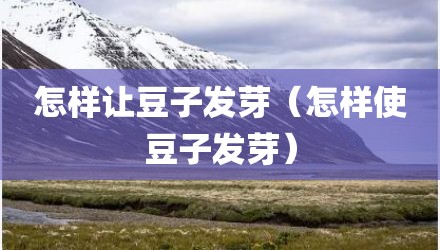怎样让豆子发芽（怎样使豆子发芽）