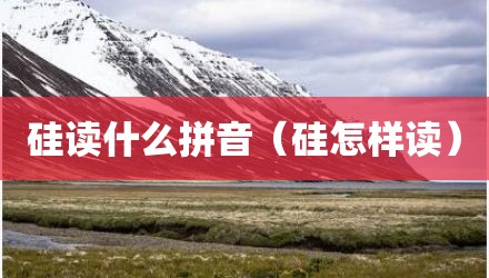 硅读什么拼音（硅怎样读）