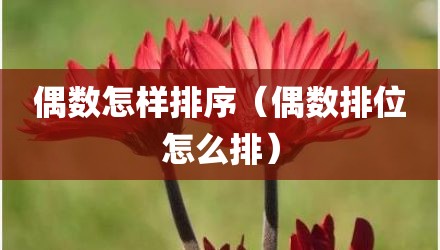 偶数怎样排序(偶数排位怎么排)