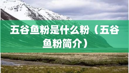 五谷鱼粉是什么粉（五谷鱼粉简介）
