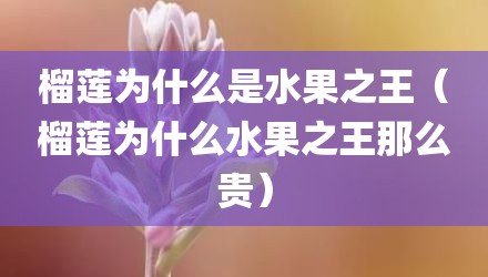 榴莲为什么是水果之王（榴莲为什么水果之王那么贵）