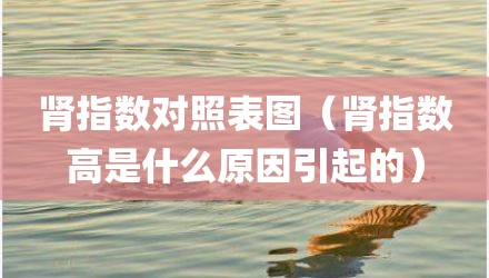 肾指数对照表图（肾指数高是什么原因引起的）