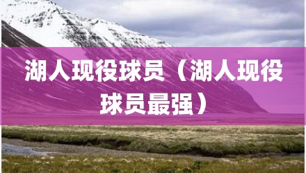 湖人现役球员（湖人现役球员最强）