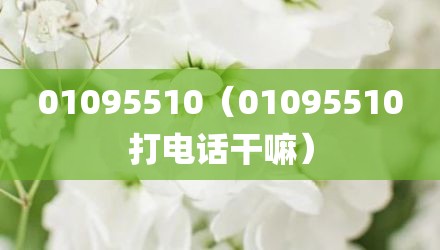 01095510（01095510打电话干嘛）