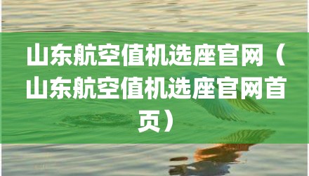 山东航空值机选座官网(山东航空值机选座官网首页)