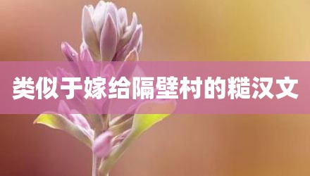 类似于嫁给隔壁村的糙汉文