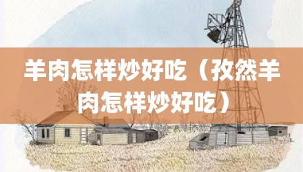 羊肉怎样炒好吃（孜然羊肉怎样炒好吃）
