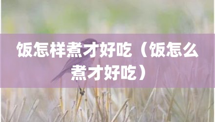 饭怎样煮才好吃（饭怎么煮才好吃）