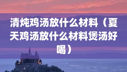 清炖鸡汤放什么材料（夏天鸡汤放什么材料煲汤好喝）