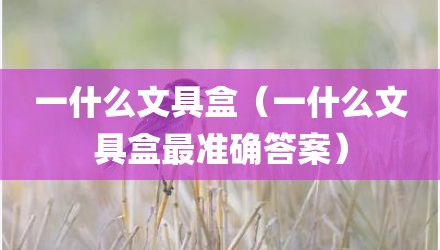 一什么文具盒（一什么文具盒最准确答案）
