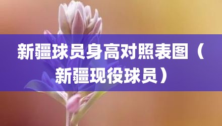 新疆球员身高对照表图（新疆现役球员）