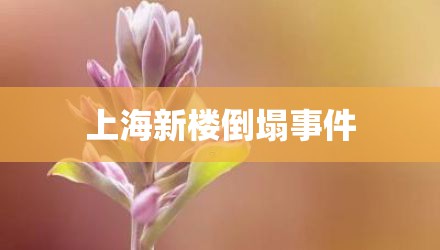 上海新楼倒塌事件
