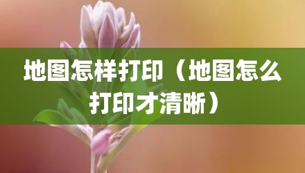 地图怎样打印（地图怎么打印才清晰）