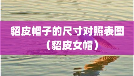 貂皮帽子的尺寸对照表图（貂皮女帽）