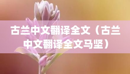 古兰中文翻译全文(古兰中文翻译全文马坚)