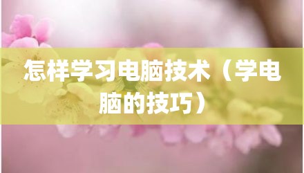 怎样学习电脑技术（学电脑的技巧）