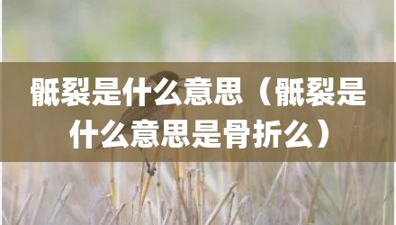 骶裂是什么意思（骶裂是什么意思是骨折么）