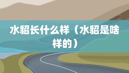 水貂长什么样（水貂是啥样的）